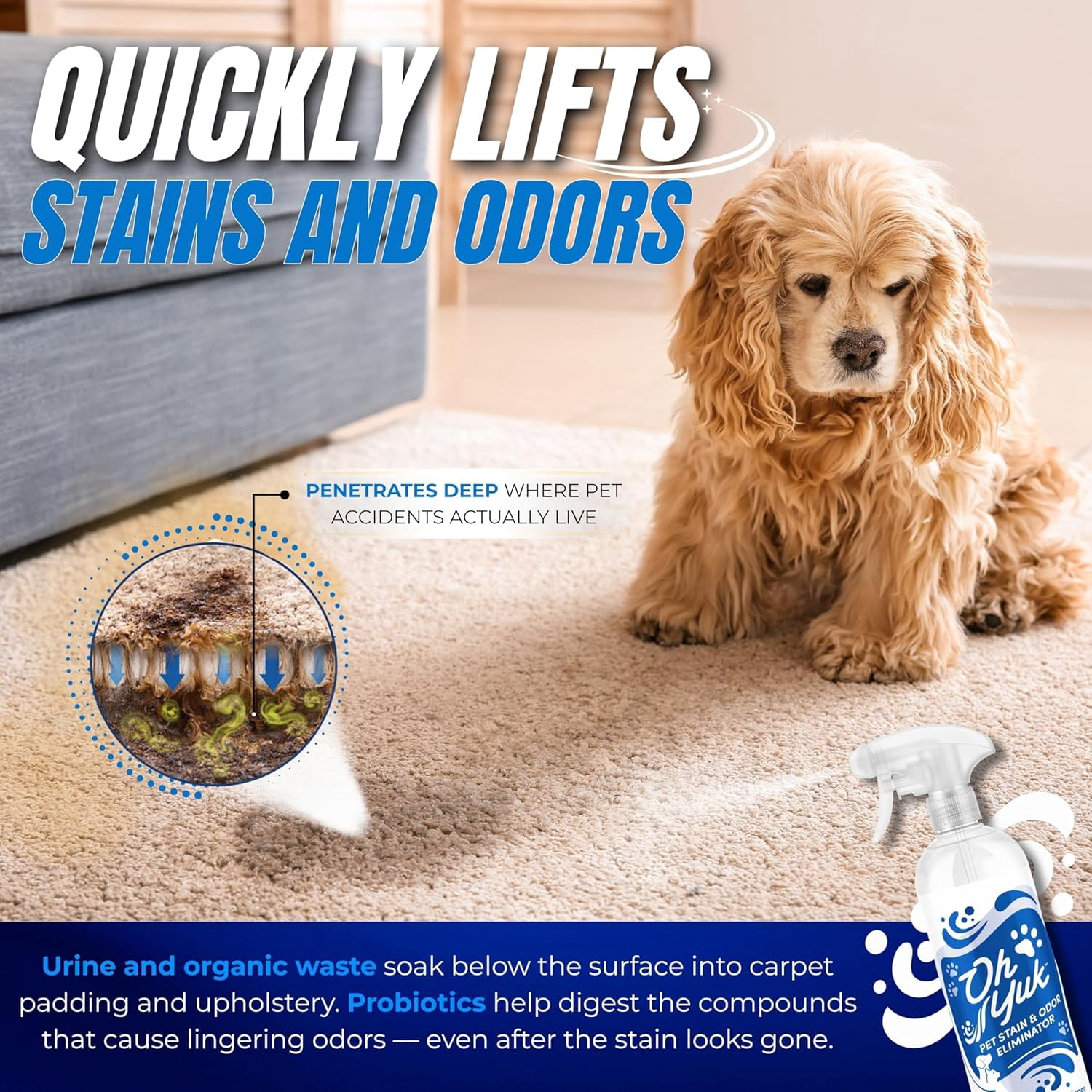 Probiotics Pet Odor Eliminator and Stain Remover Spray – Dog & Cat Urine and Poop Odor Eliminator for Home, Pet Pee Smell Remover & Deodorizer – 27 fl oz ( Ginger Lime)