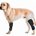 thumbnail image 1 of Mimigo (pair)dog Braces For Back Legs Super Supportive With Dual Metal Spring Inserts To Stabilize Dog Hind Legs, Help Dogs With Injuries, Sprains, Ar, 1 of 4
