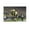 Unframe-style, variant on Christian Watson Canvas Poster Painting On Canvas Wall Art Poster Scroll Picture Print Living Room Walls Decor Home Posters 12x18inch(30x45cm)