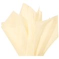 thumbnail image 1 of FFIY Ivory Gift Wrap Tissue Paper Size: 15 Inch X 20 Inch | Count: 100 Sheets | Color: Ivory Ivory Cream 15x20 Inch (Pack of 100), 1 of 7