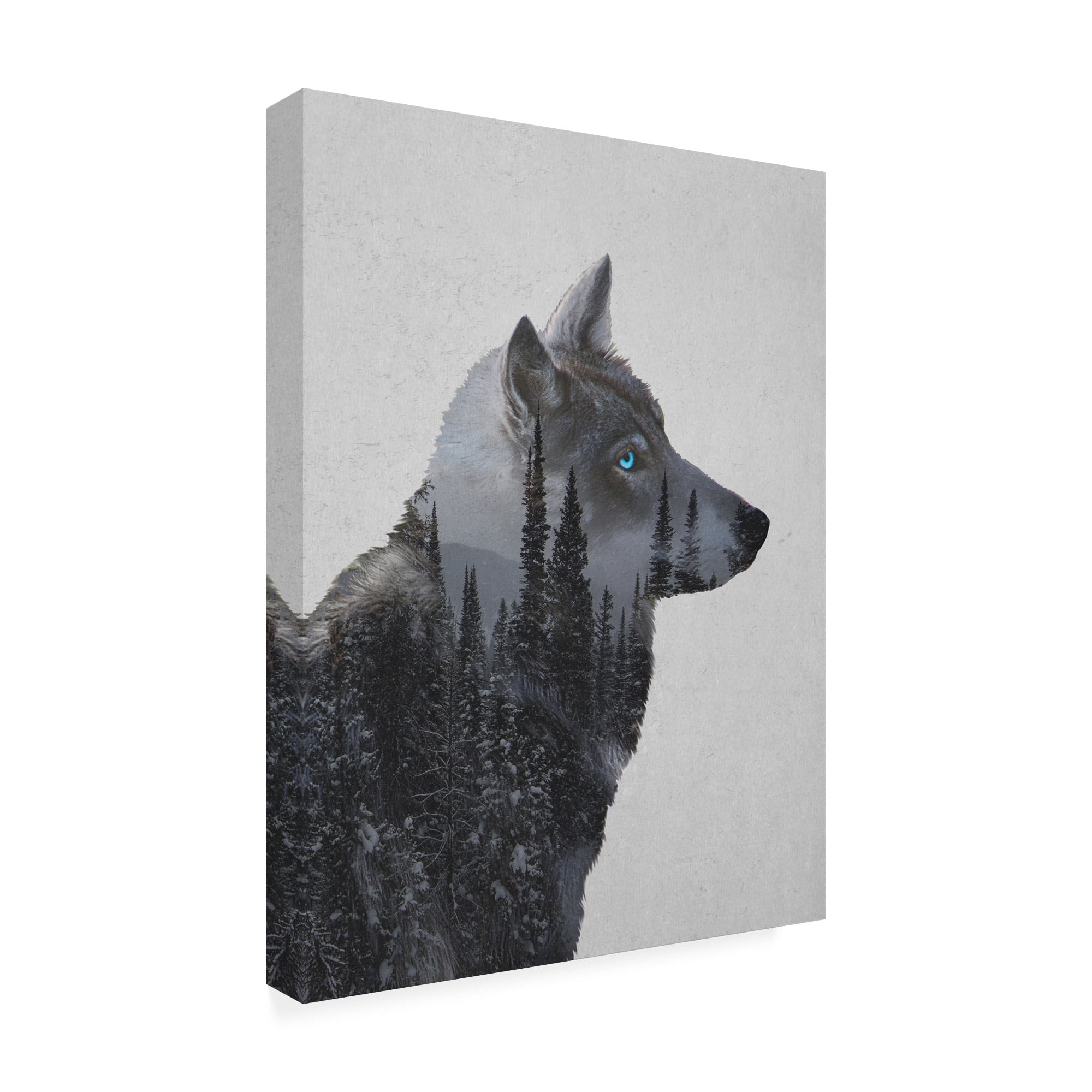 Trademark Fine Art 'Winter Wolf Gray' Canvas Art by Davies Babies