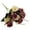 A, variant on Kiteke Clearance 12 Small Roses (Brown 1Pc), Artificial Flowers Artificial Roses.12 Little Rose Silk Flowers. Plastic Flowers Plants for Home Hotel Wedding Christmas Tables Decorations