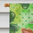 thumbnail image 3 of Carolines Treasures BB9897CHF Yorkshire Terrier 2 St Patricks Flag Canvas House Size  Large multicolor, 3 of 4