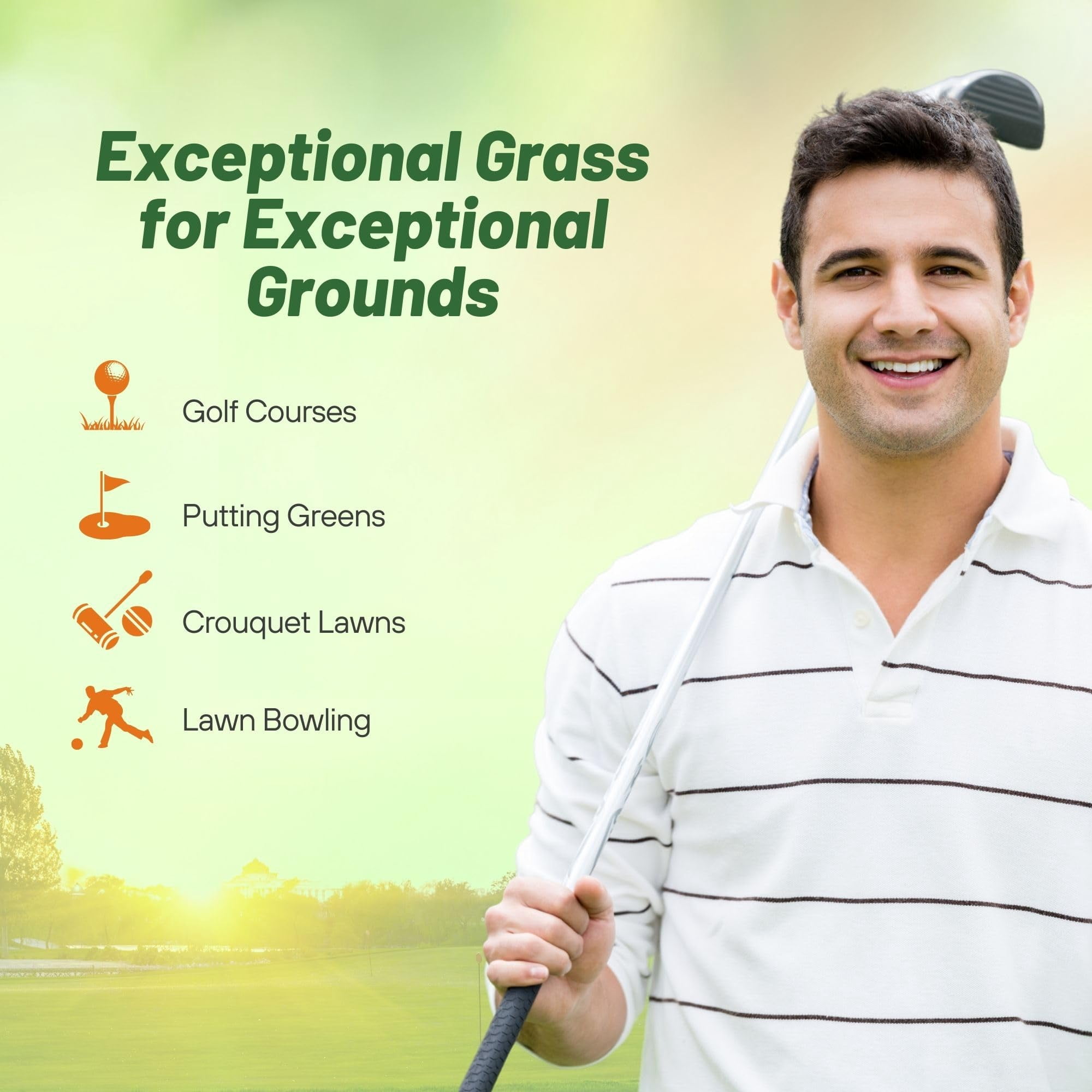 PC2.0 Penncross Creeping Bent Grass Seed - Putting Green Seed - 25 LBS