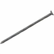 PrimeSource Do it Hot Galvanized Siding & Deck Nail - Pack of 2