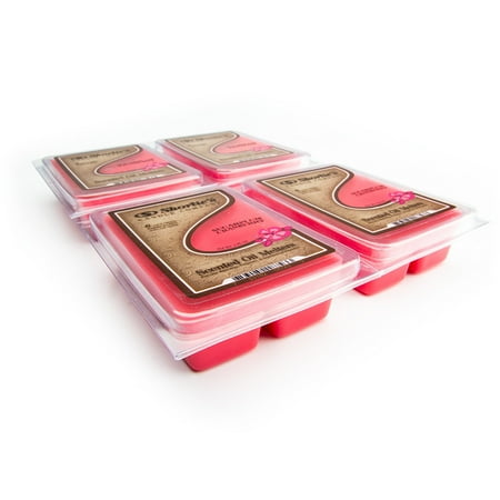 Sugarplum Cranberry Wax Melts Bulk Pack - 4 Highly Scented Bars - Made With Natural Oils - Air Freshener Cubes Collection