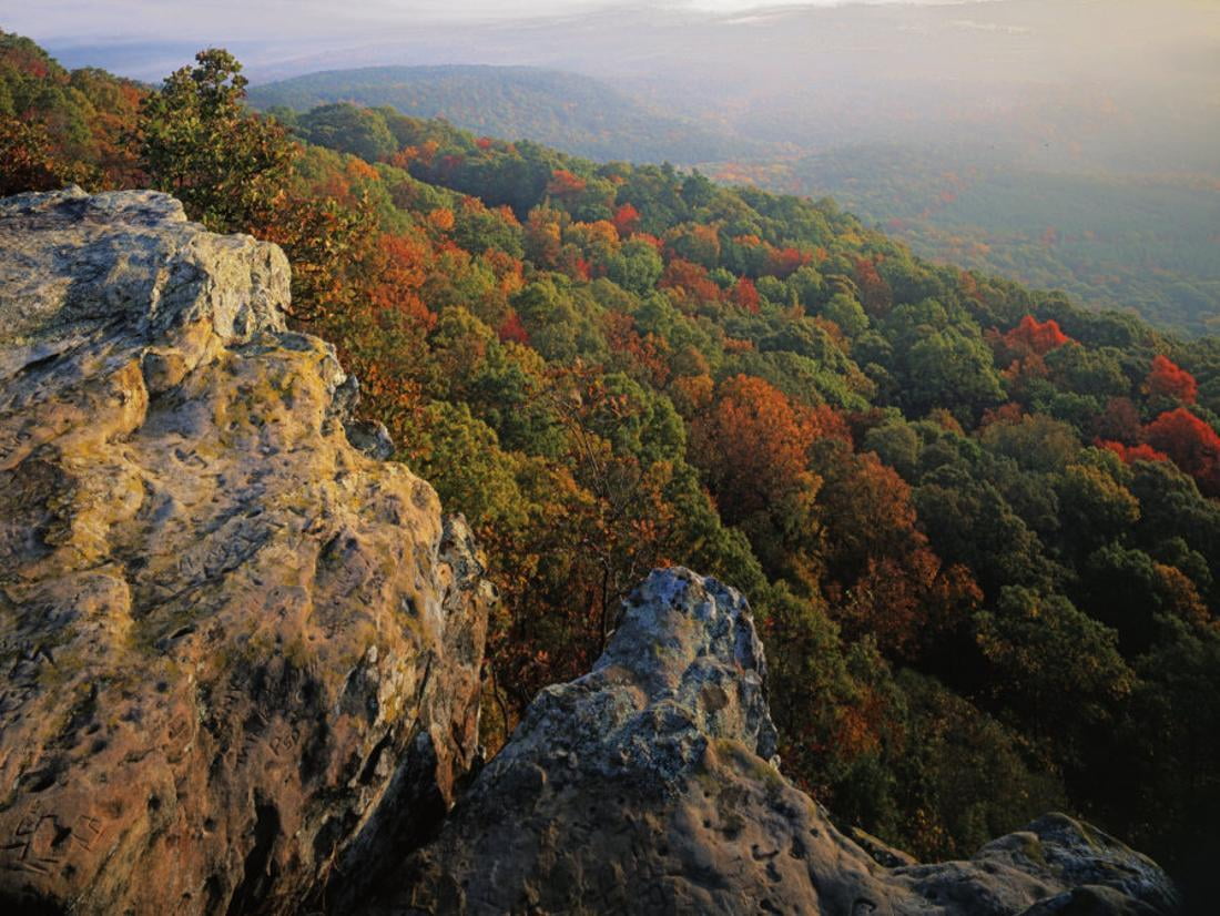 Autumn Mt Nebo State Park Arkansas Usa Print Wall Art By