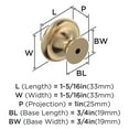 thumbnail image 3 of Amerock Inspirations 1-5/16 inch (33mm) Diameter Champagne Bronze Cabinet Knob, 10 Pack, 3 of 4