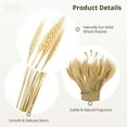 thumbnail image 5 of 120 Stems Dried Wheat Sheaves, Dried Wheat Stalks, Natural Wheat Bouquet Bundle for DIY Craft, Artificial Flowers Arrangement, Dining Table Decorations, Wedding Shooting Props, 5 of 7