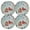 Type30, variant on Ryvnso Cardinal Bird Christmas Round Plate Mats Dining Table Placemat Set of 4 for Holiday Decoration