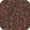 Medium Brown, variant on Regain Fiber Medium