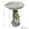 thumbnail image 4 of Sunnydaze Freestanding Polyresin Outdoor Bird Bath, Brooding Frog on a Stone, 4 of 13