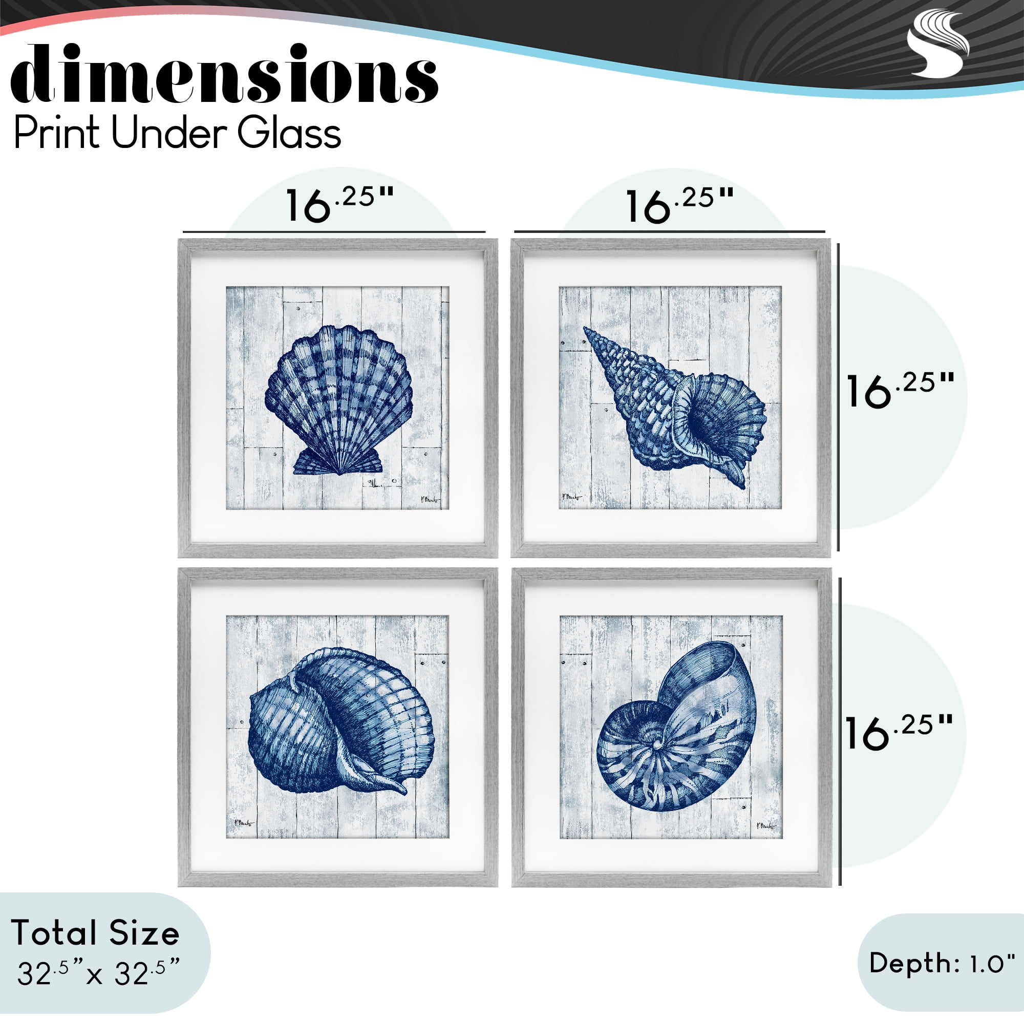 Stupell Industries Coastal Timberland Seashells 4 Piece Gray Framed Print Under Glass Set, design by Paul Brent