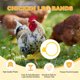thumbnail image 2 of Uxcell 100-Pack Bandas Ajustables para las Patas de Pollos para Identificación de Aves de Corral [Verde], 2 of 6