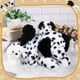 thumbnail image 4 of Perro Skylety de peluche con bebés en su interior, 1 mamá grande con 4 bebés pequeños, 4 of 6