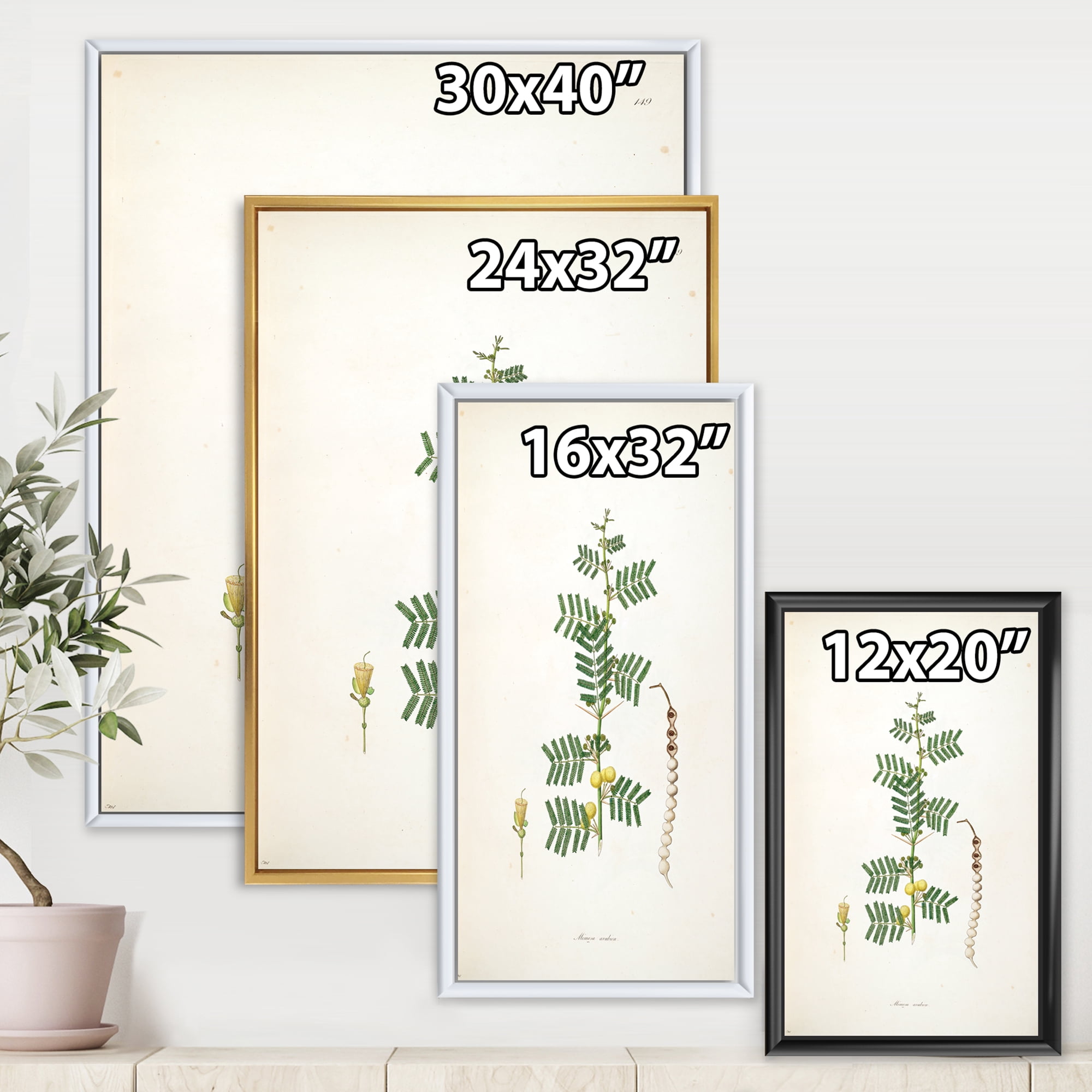 Designart 'Ancient Blossoming Flower III' Farmhouse Framed Canvas Wall Art Print