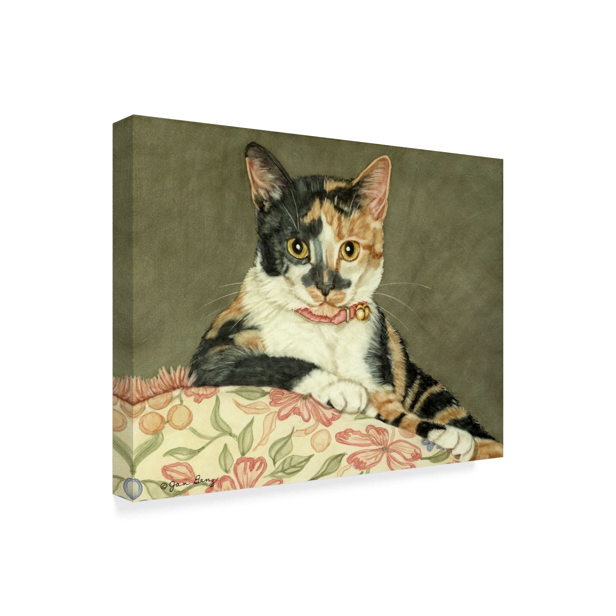 Trademark Fine Art 'Princess' Canvas Art by Jan Benz