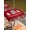 Green Red Bright Red, variant on Outdoor Tablecloth with Umbrella Hole and Zipper, Red Plaid Christmas Rectangle Table Cloth 60x84 Inch Waterproof Tablecloth, Xmas Tree Snowflake Poinsettia Picnic Table Cover for Patio Camping