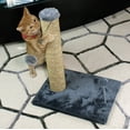 thumbnail image 3 of Cat Craft Sea Grass Scratcher with Toy, 3 of 9