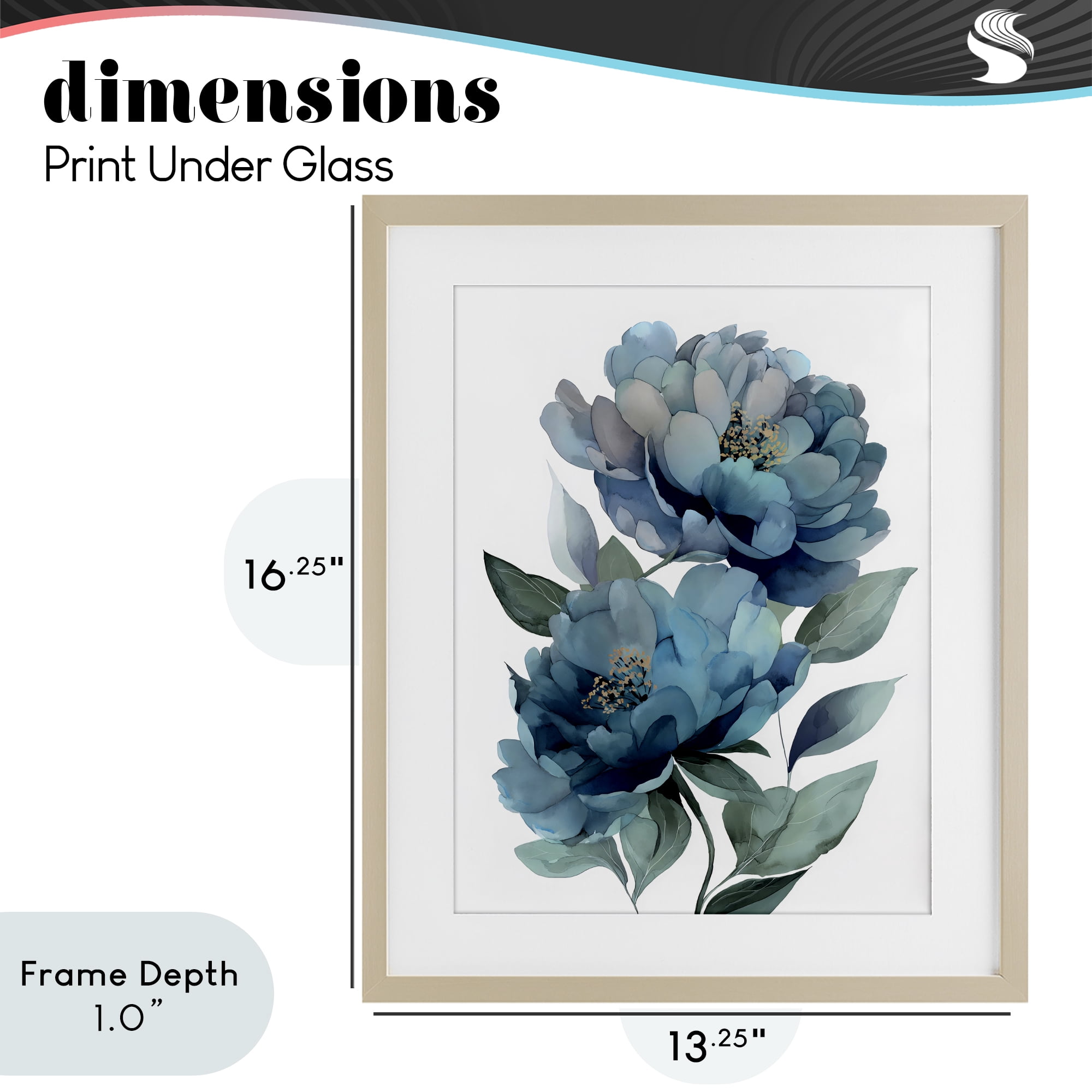 Stupell Industries Two Blue Flowers Serene Peonies Birch Framed Print Under Glass, design by Franklyn Gregory