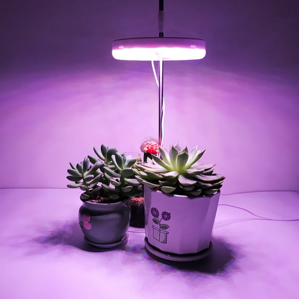 Lampe d'intérieur pour petites plantes à LED à spectre complet
