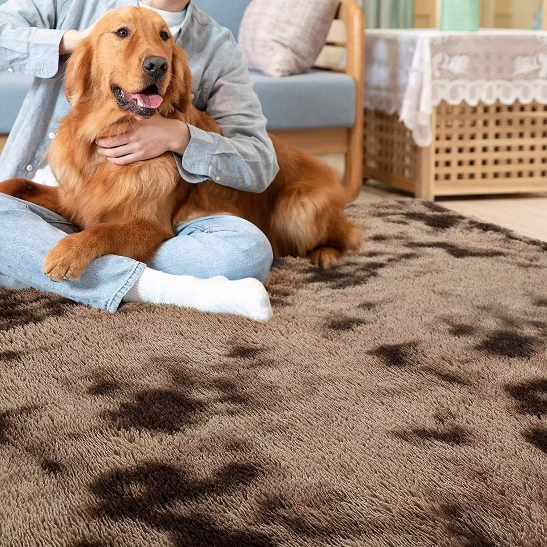 CAROMIO Coffee High Pile Fully Shag Rugs Non-Slip Home Decor for Sitting room living room Bedroom, 5 x 8 feet