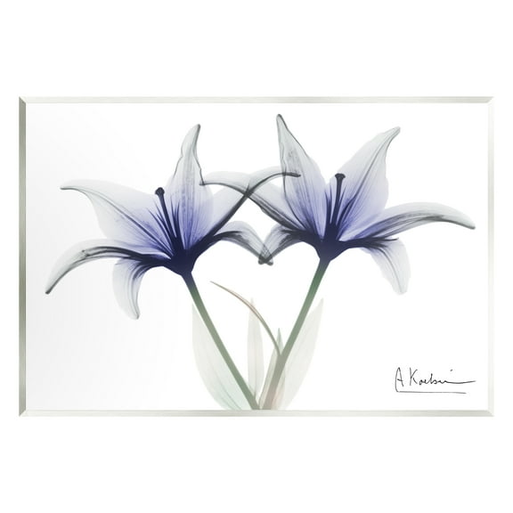 Stupell Industries X-Ray Lily Flowers Botanical & Floral Photography Unframed Art Print Wall Art, 15 x 10