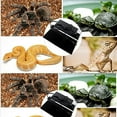 thumbnail image 2 of Reptile Heating Pad Amphibian Terrarium Bedding Heater with Temperature Control Switch, 2 of 4
