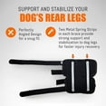 NeoAlly Super Supportive Dog Braces for Rear Leg and Hock Joint with