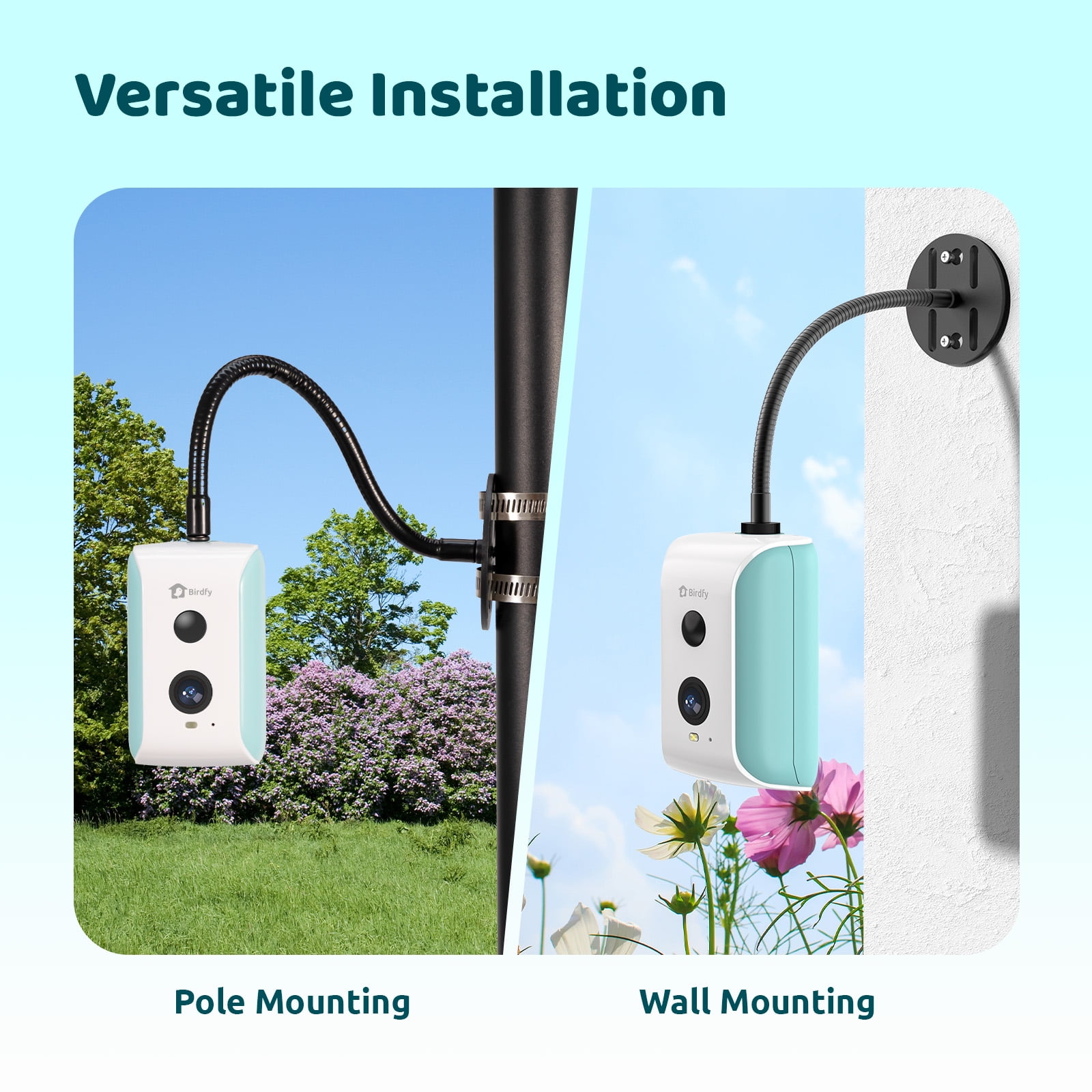 Birdfy Smart Bird Feeder Camera for Wild Bird Watching & Recording – Wall & Pole Mount Compatible, Cyan
