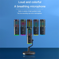 thumbnail image 3 of Microphone de Jeu Professionnel avec Support, Micro à Condensateur Filaire USB RVB pour PC Portable, Diffusion en Continu, Balado, Karaoké, 1 x Microphone, Noir, 3 of 8