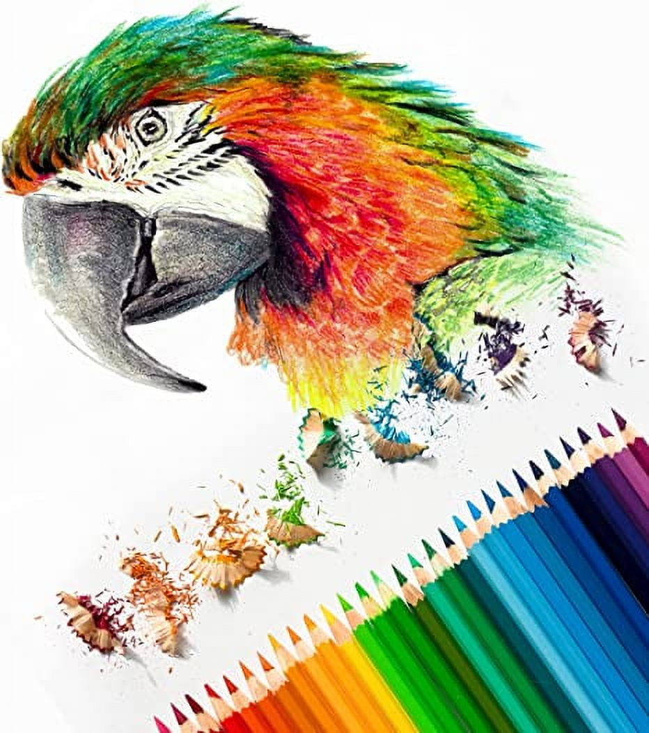 Trail maker Colored Pencils Bulk 100 Packs for Classrooms, Artists, Kids, Adult Coloring, Colored Pencils in Bulk (100 Pack)
