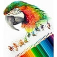 thumbnail image 6 of Trail maker Colored Pencils Bulk 100 Packs for Classrooms, Artists, Kids, Adult Coloring, Colored Pencils in Bulk (100 Pack), 6 of 9
