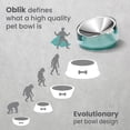 thumbnail image 4 of Felli Oblik Shallow Dishwasher Safe Stainless Steel Elevated Bowl for Cats & Dogs, Green Design Pattern, 4 of 7