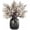 Champagne, variant on Babys Breath Silk Artificial Flowers 12 Bundle European Fake Plants Decor Fall Decoration Bouquets DIY Home Garden (Beige Brown-12pcs)