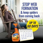TERRO Spider Cobweb Repellent and Eliminator Spray, 32 Fluid Ounce