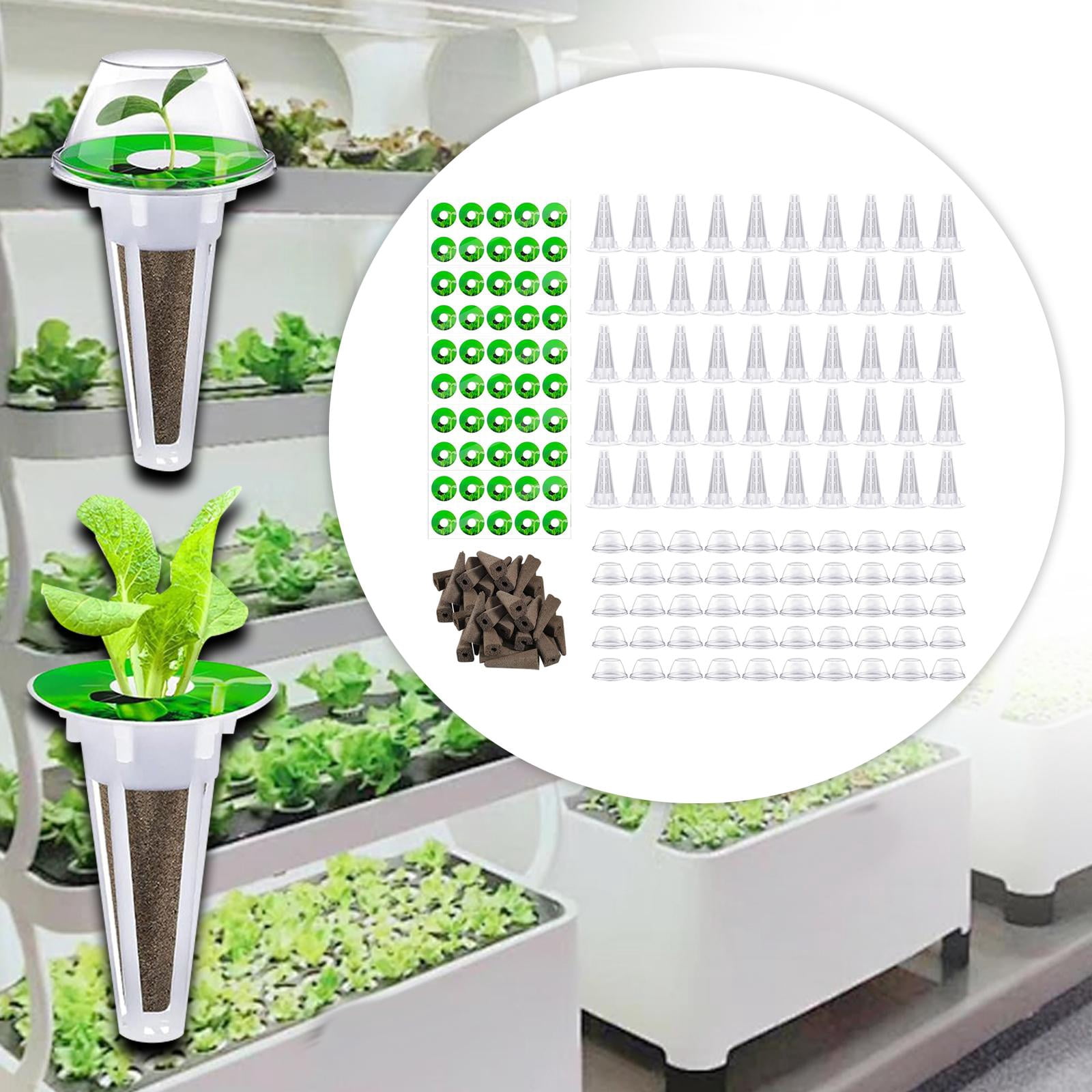 figatia Hydroponics Planting Set Garden DIY Accessories Easy to Use Hydroponics Supplies for Fruits Hydroponics Growing System Cilantro 50 Piece
