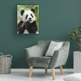 thumbnail image 2 of Canvas Wall Art - Trudi Simmonds 'Panda Baby' Wall Art for Living Room, Bedroom, or Office Décor by Trademark Fine Art - 24 x 32 Inches, 2 of 4