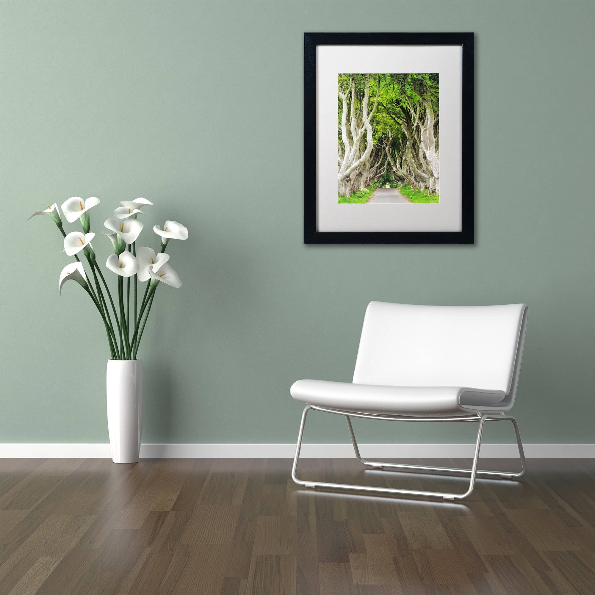Trademark Fine Art "The Dark Hedges" Canvas Art by Philippe Sainte-Laudy, White Matte, Black Frame