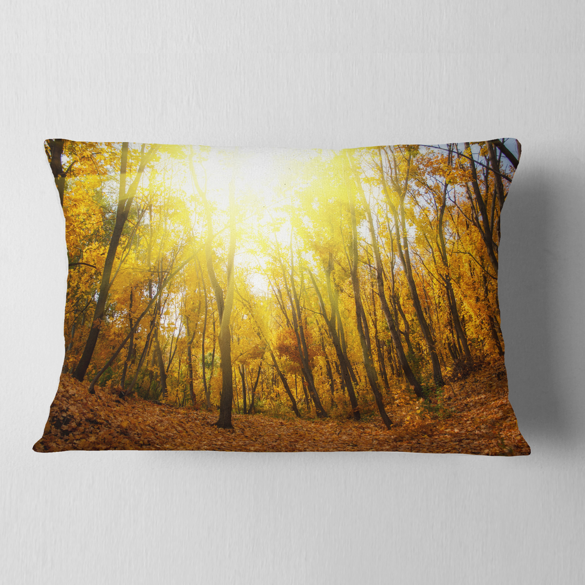 Designart Yellow Autumn Forest in Sunlight - Forest Throw Pillow - 12x20
