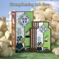 thumbnail image 2 of 10pcs Ginger Plant Extract Anti-Hair Loss Hair Shampoo, 2 of 5