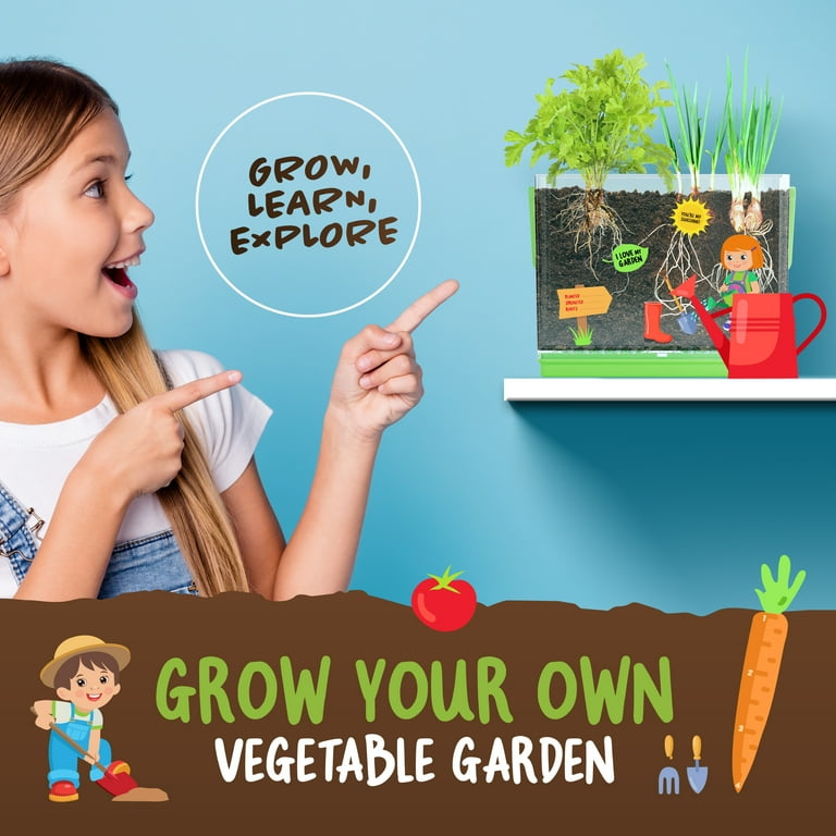D&D Root Viewer Growing Kit for Kids, Science Toy photo 6