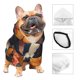 thumbnail image 3 of Balery Cute Colorful Flower French Bulldog Sudadera con Capucha para Perros Pequeños – Ropa para Mascotas, Disfraz para Perros y Gatos, Ideal para Fiestas y Cosplay-Medium, 3 of 7