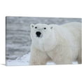 thumbnail image 1 of ARTCANVAS Polar Bear Home decor Canvas Art Print - Size: 18" x 12" (0.75" Deep), 1 of 9