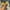 Yellow, variant on Dpityserensio Women Bowknot Beach Summer Slippers Slide Slope Heels Plus Size Shoes Sandals for Women Yellow 10.5(43)