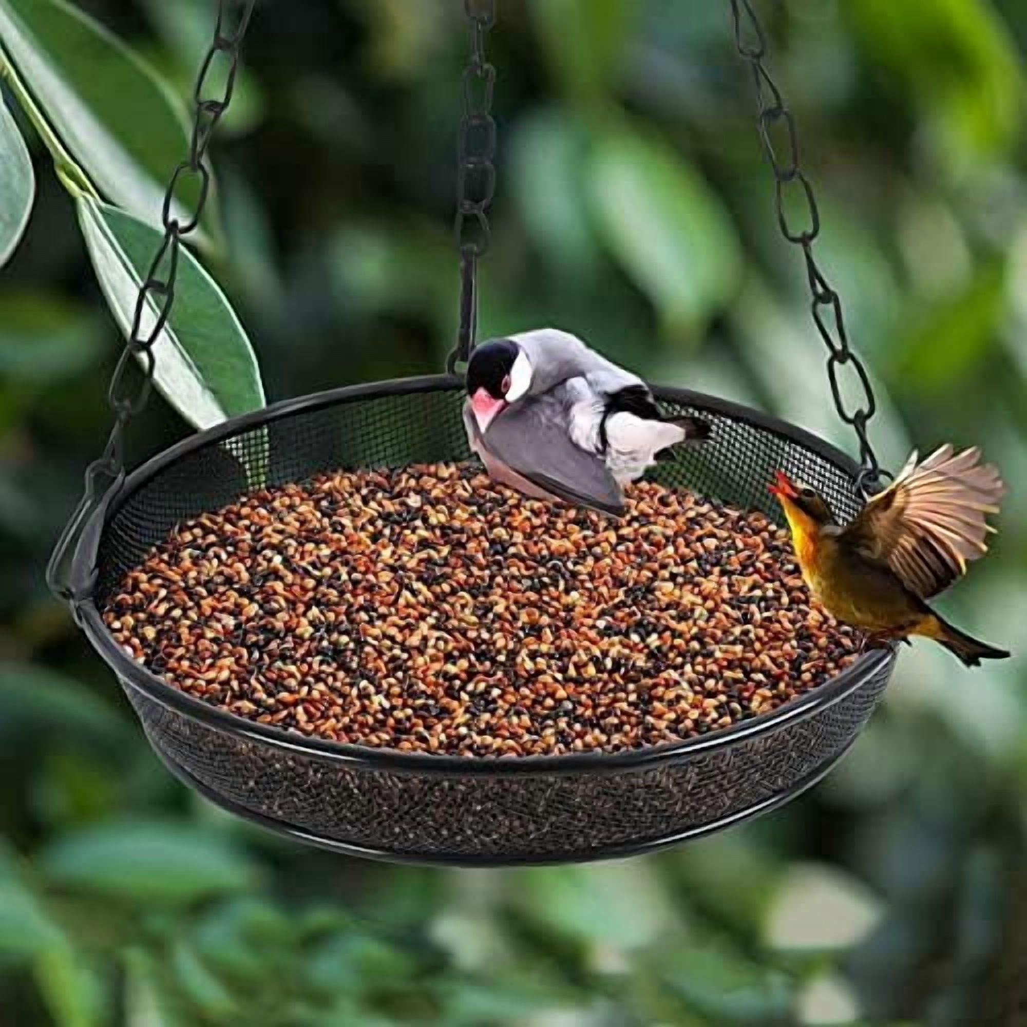Hanging Bird Feeder, Birdfeeder Hanging for Garden Yard Outside, Hanging Birdfeeder Tray - Metal Mesh Platform Feeders for Birds Outside Outdoors Hanging for Attracting Birds - 3 Pack