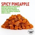 thumbnail image 2 of Chuza Pineapple Dried Spicy 4.5 oz (Pack of 12), 2 of 4
