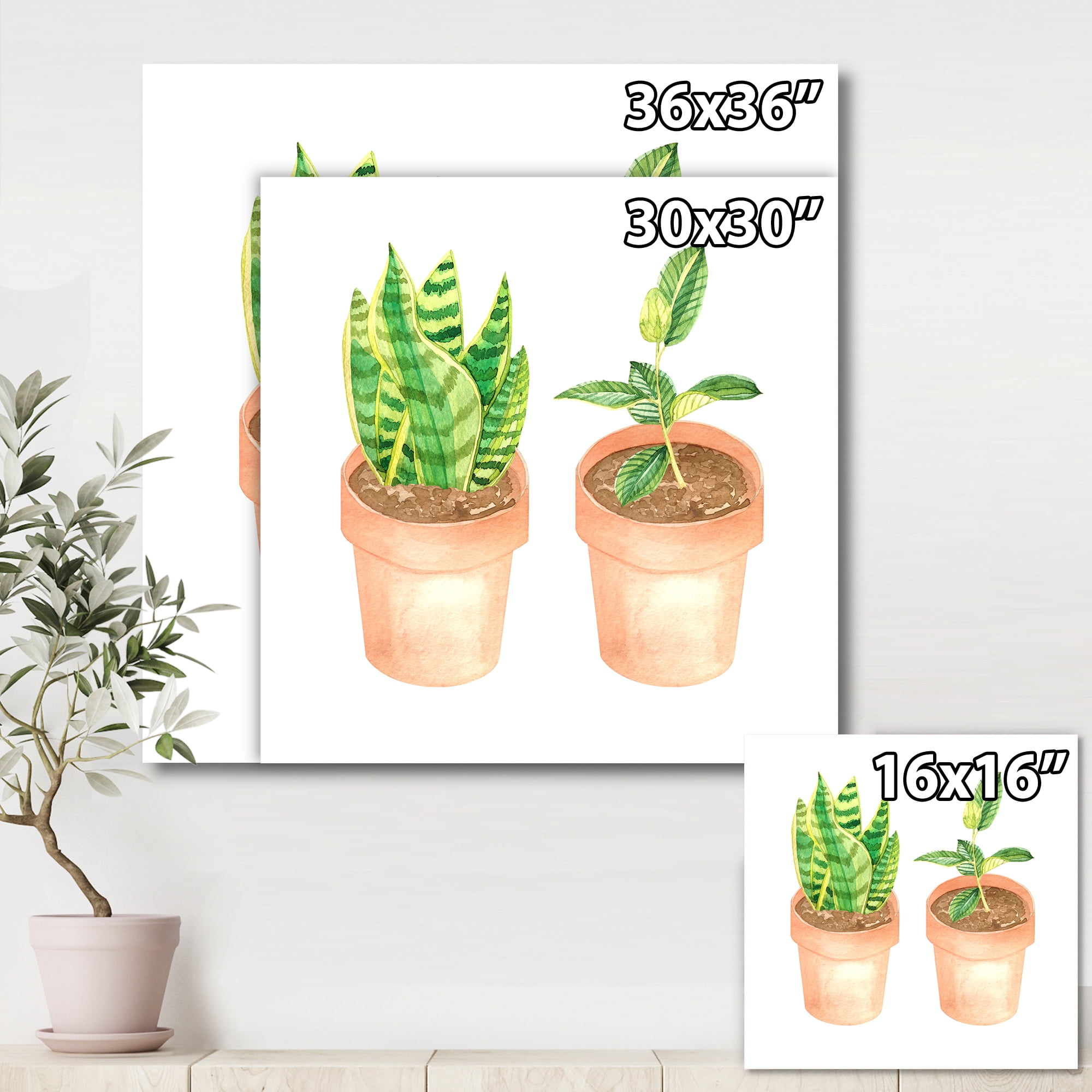 Ficus and Sansevieria Indoor Green Home House Plants 30 in x 30 in Painting Canvas Art Print, by Designart