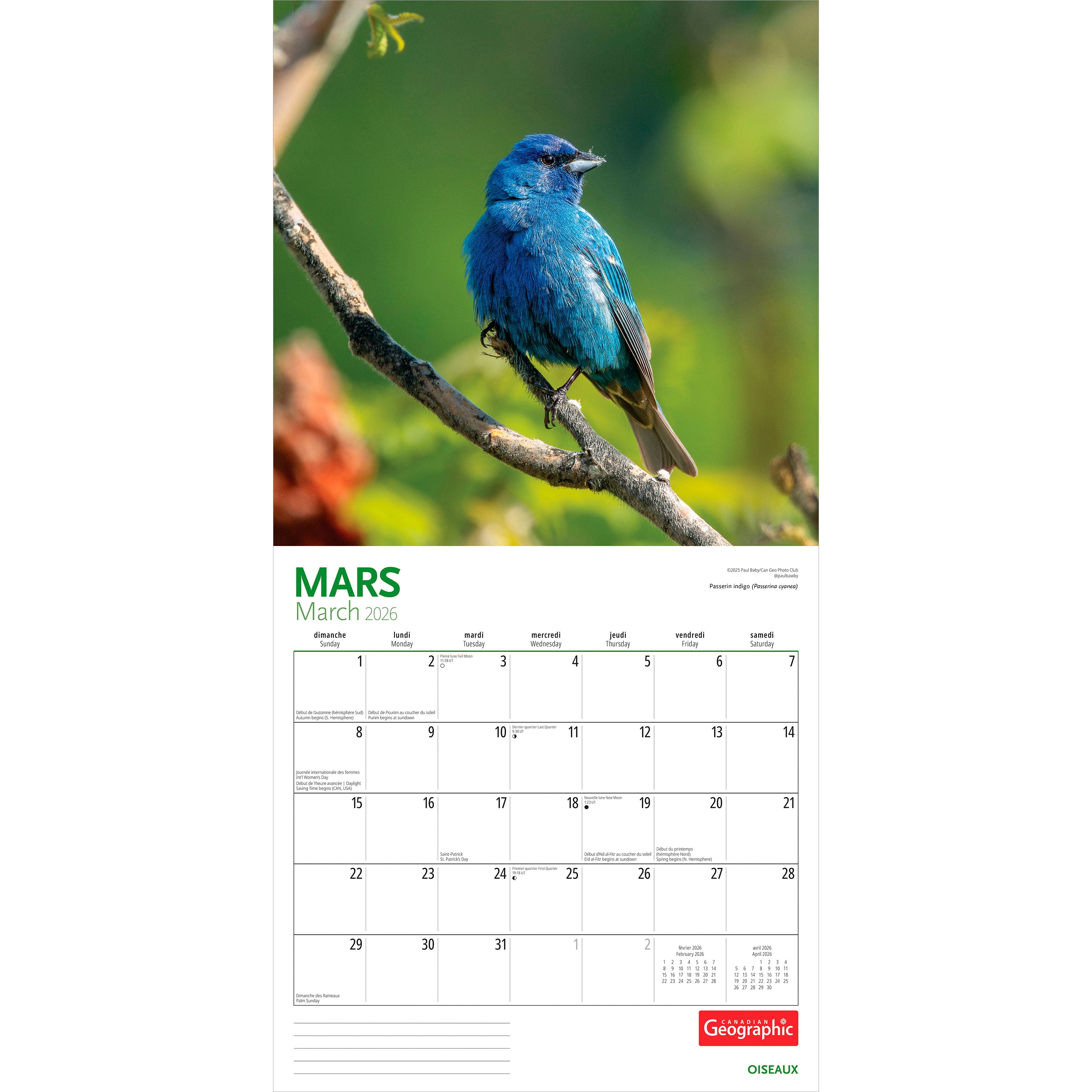 Canadian Geographic Oiseaux 2026 Square FRENCH Wyman FOIL