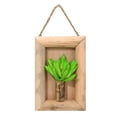 thumbnail image 2 of Ludlz Wall Hanging Planter Succulent , Decorative Freestanding Mount Holder for Air Plants,Artificial Succulent Beautiful Realistic Cute Wall Hanging Potted Simulation Succulent for Indoor, 2 of 8